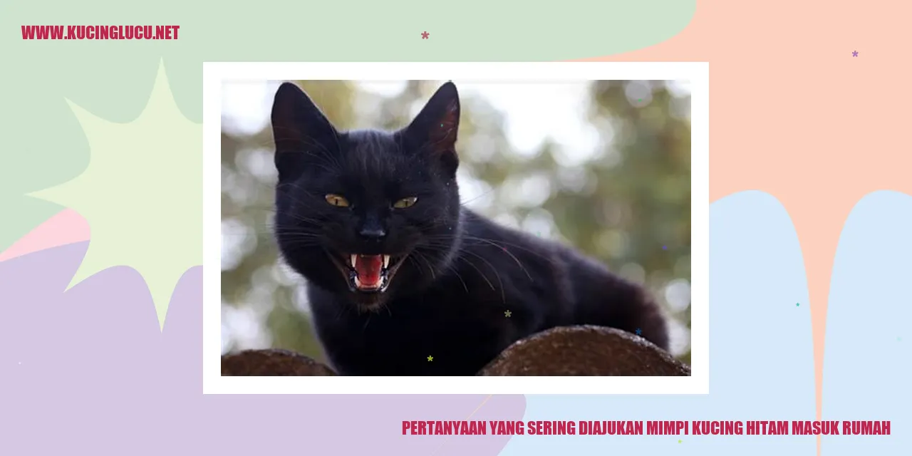 Ilustrasi Kucing Hitam