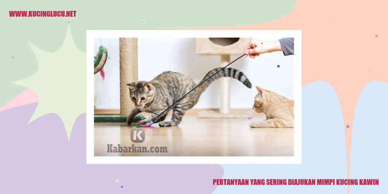 gambar mimpi kucing kawin