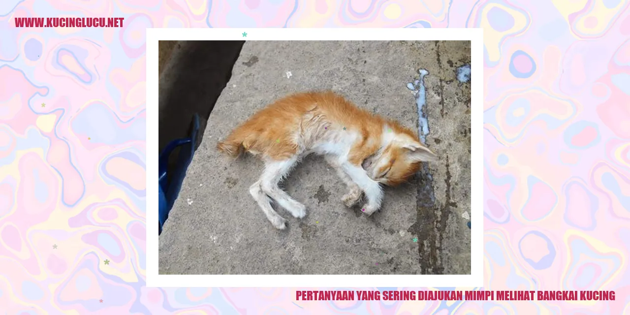 gambar kucing