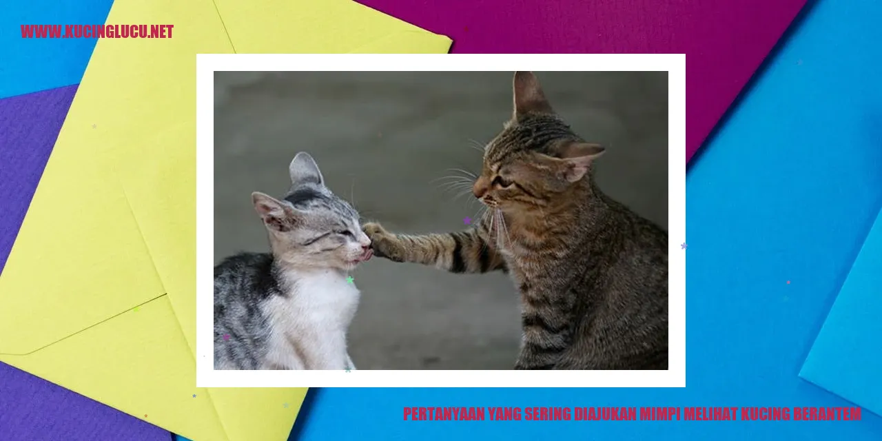 gambar mimpi kucing berantem