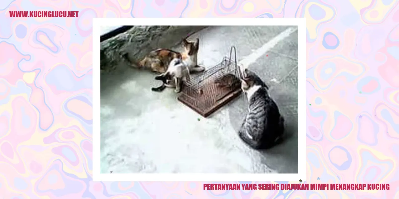 Ilustrasi mimpi menangkap kucing
