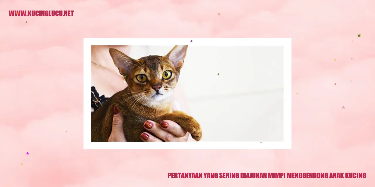 Mimpi Menggendong Anak Kucing