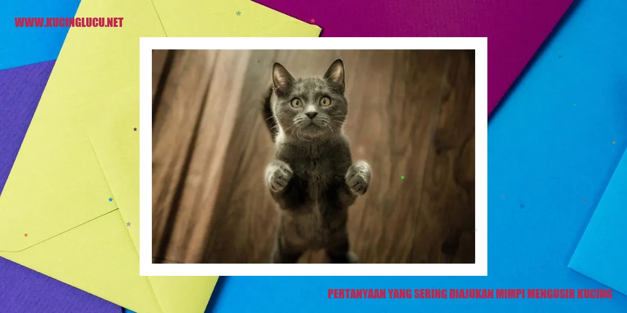 Ilustrasi kucing