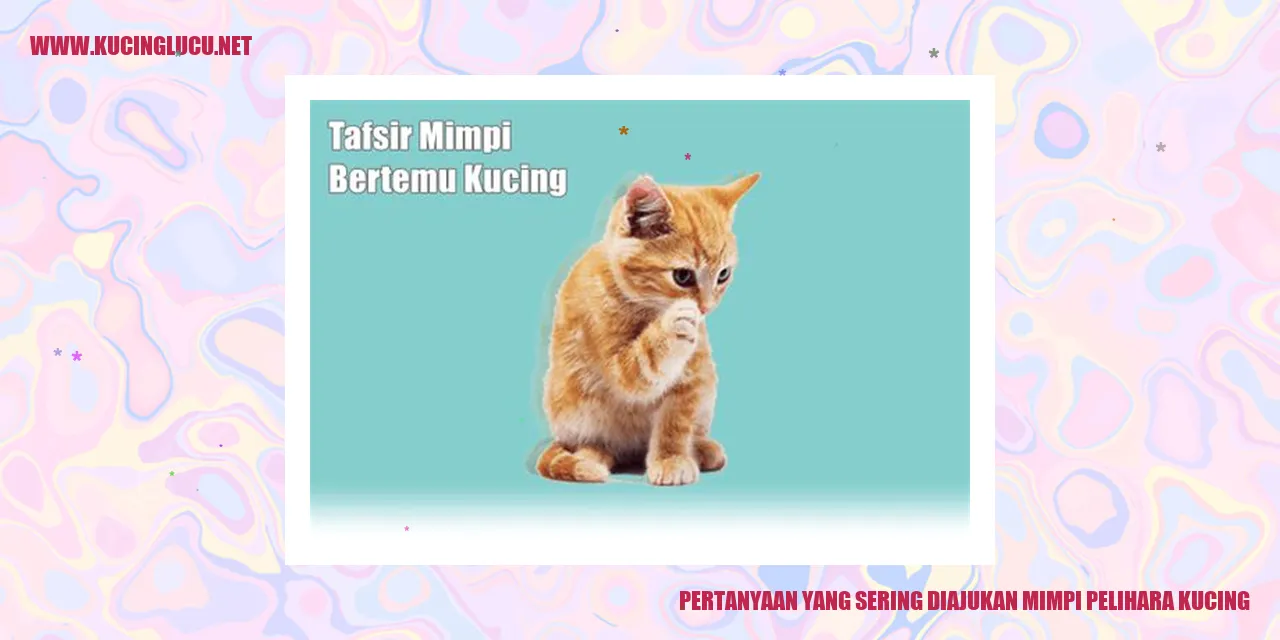 Kucing Lucu
