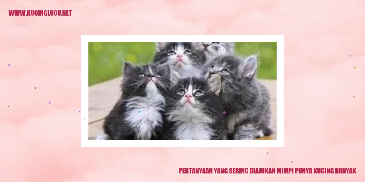 Gambar Kucing
