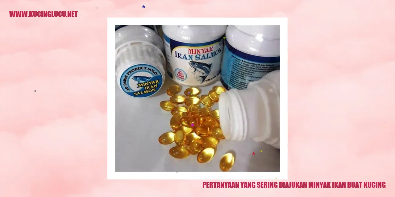 Minyak Ikan untuk Kucing