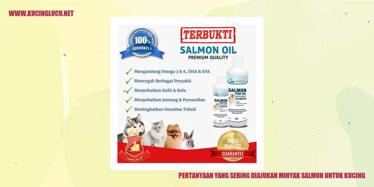 Minyak Salmon untuk Kucing
