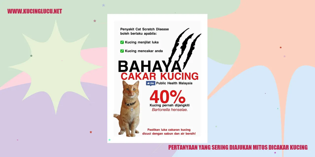 Ilustrasi Kucing