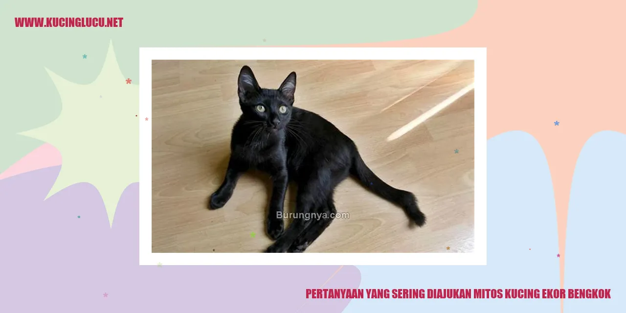 gambar ilustrasi kucing ekor bengkok