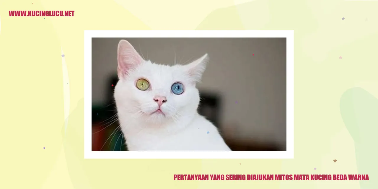 Mitos Mata Kucing Berwarna Berbeda