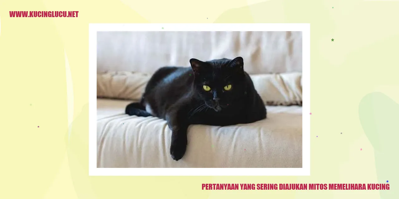 Pertanyaan yang Sering Diajukan tentang Mitos Memelihara Kucing