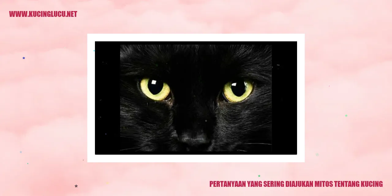 Ilustrasi Kucing