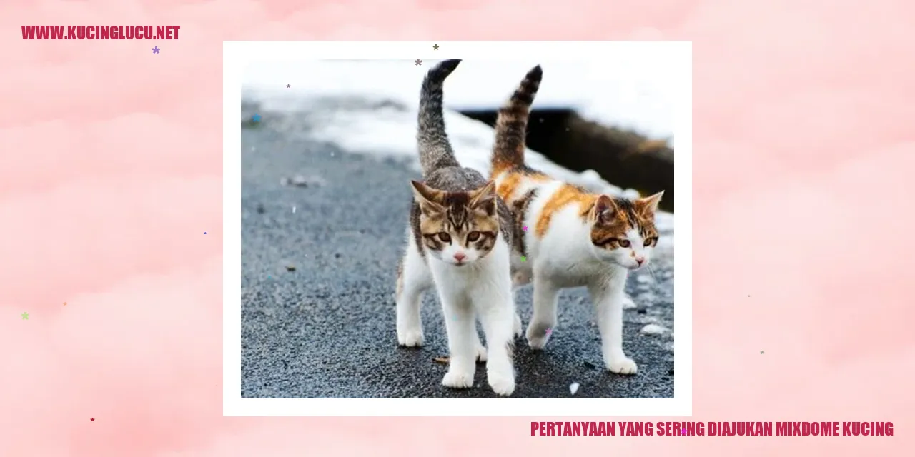 Mixdome Kucing