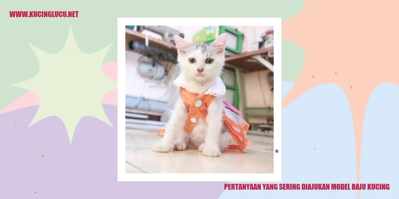 Gambar Model Baju Kucing