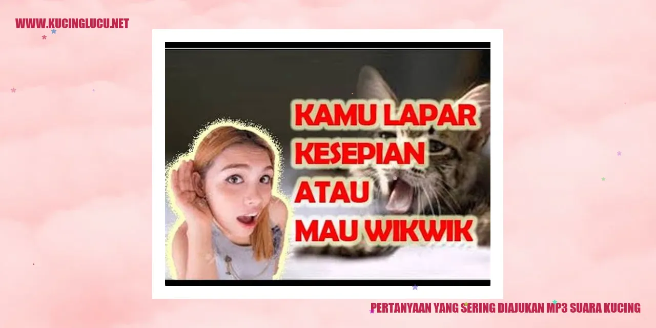 Gambar suara kucing