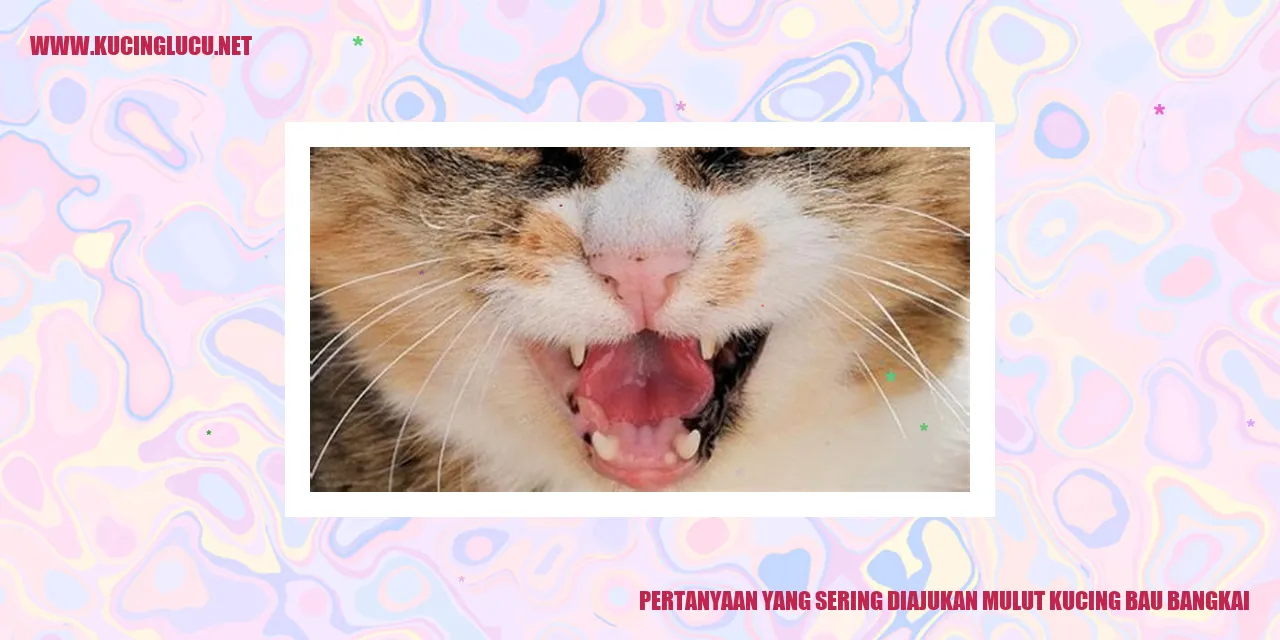Gambar Pertanyaan yang Sering Diajukan mulut kucing bau bangkai