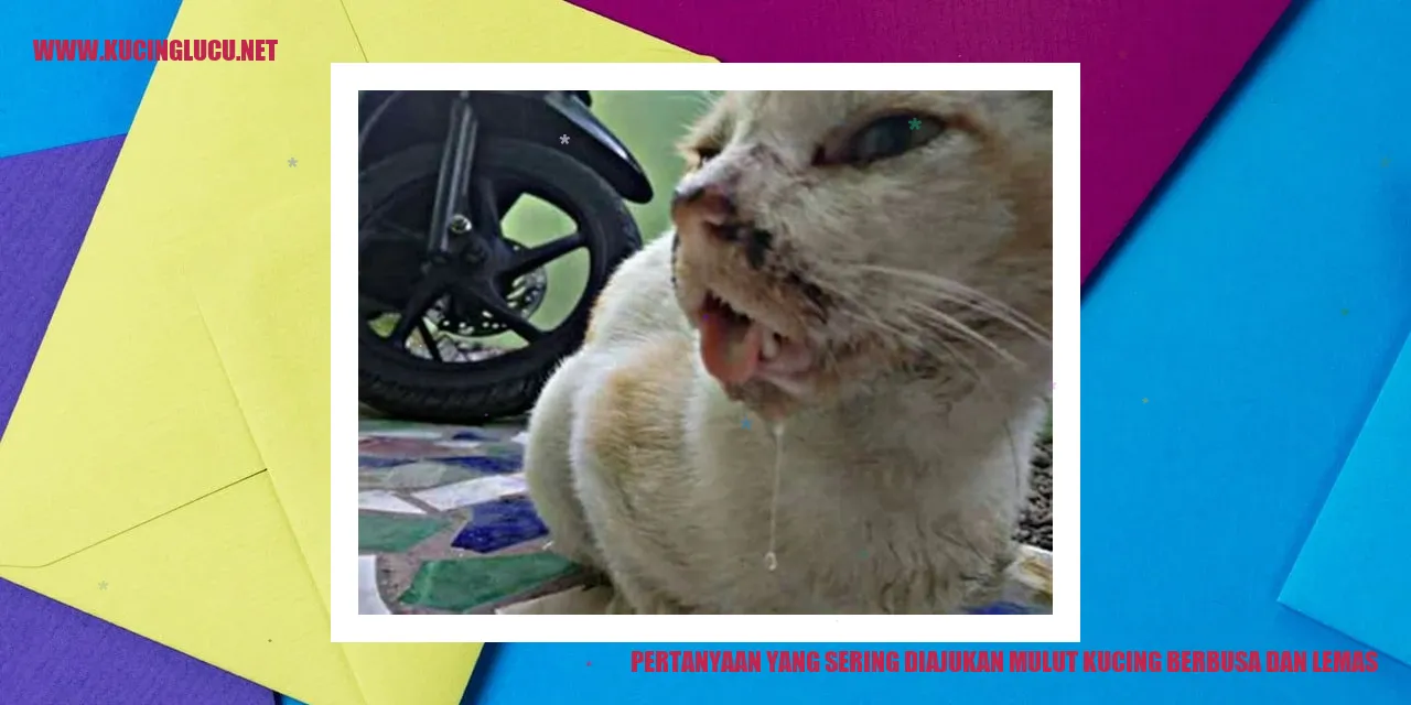 Mulut Kucing Berbusa dan Lemas