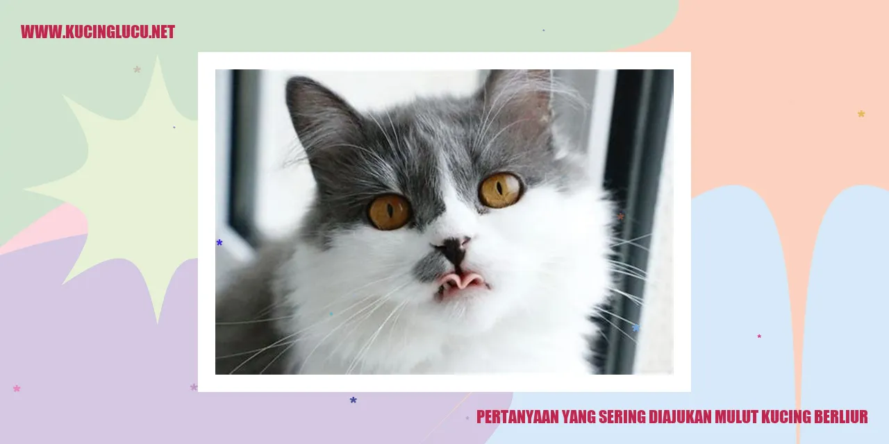 Gambar Menggambarkan Mulut Kucing Berair