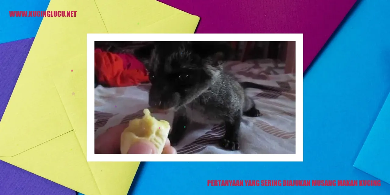 Gambar Musang Makan Kucing
