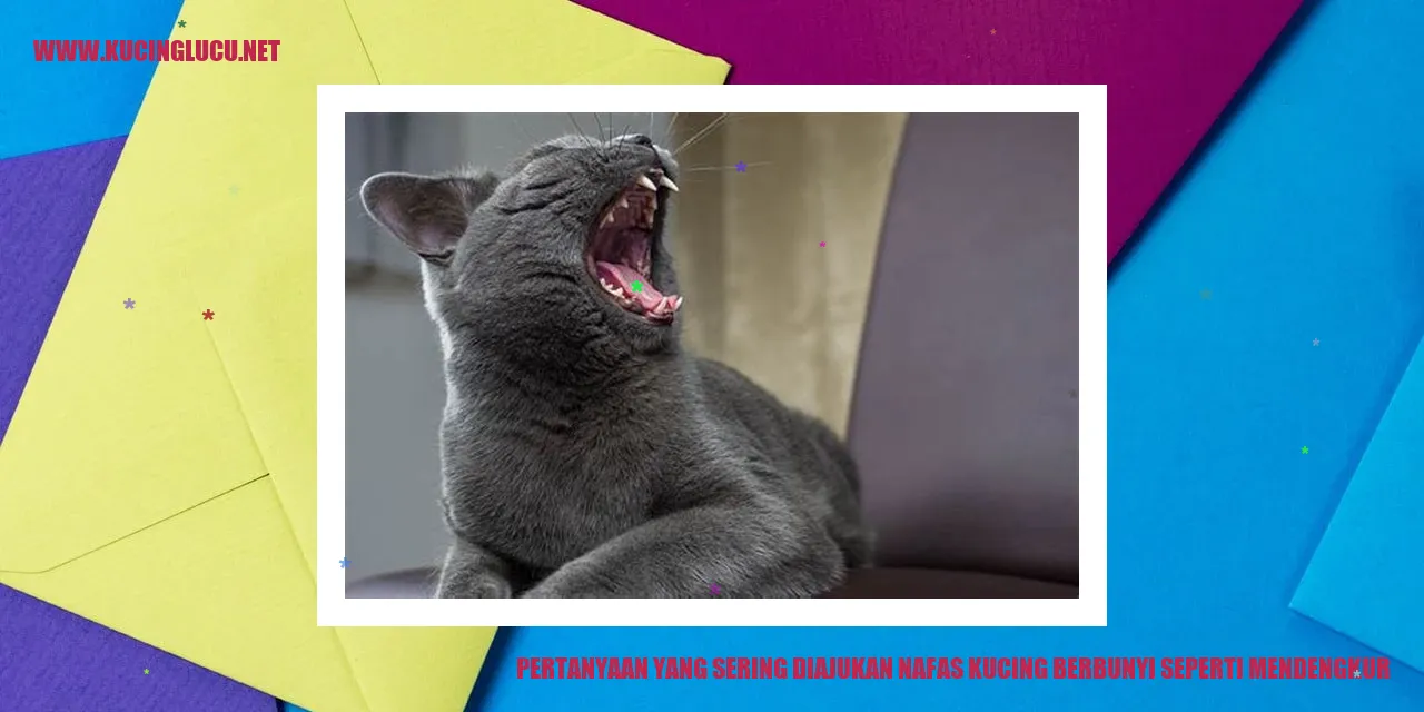 Suara Nafas Kucing