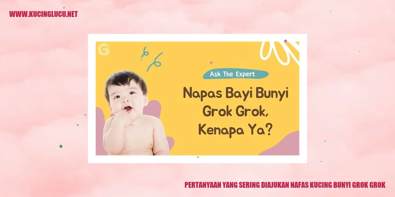 Gambar seekor kucing dengan bunyi nafas grok grok