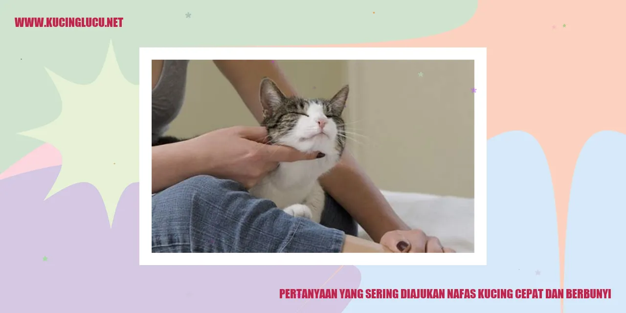 Pertanyaan yang Sering Diajukan nafas kucing cepat dan berbunyi