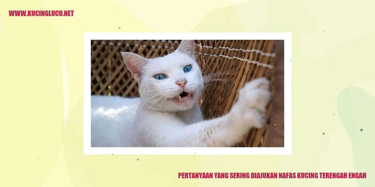 Nafas Kucing yang Terganggu
