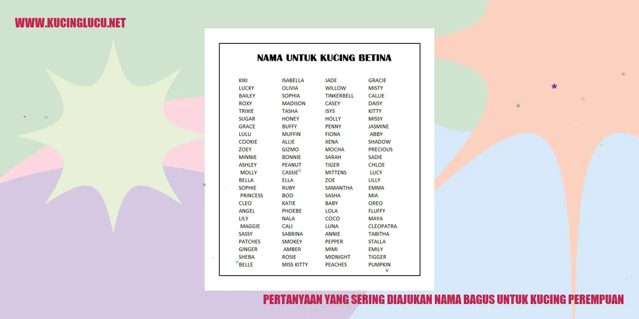 nama bagus untuk kucing perempuan