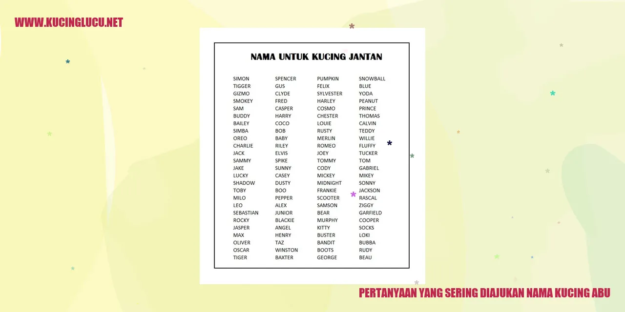 Gambar kucing Abu