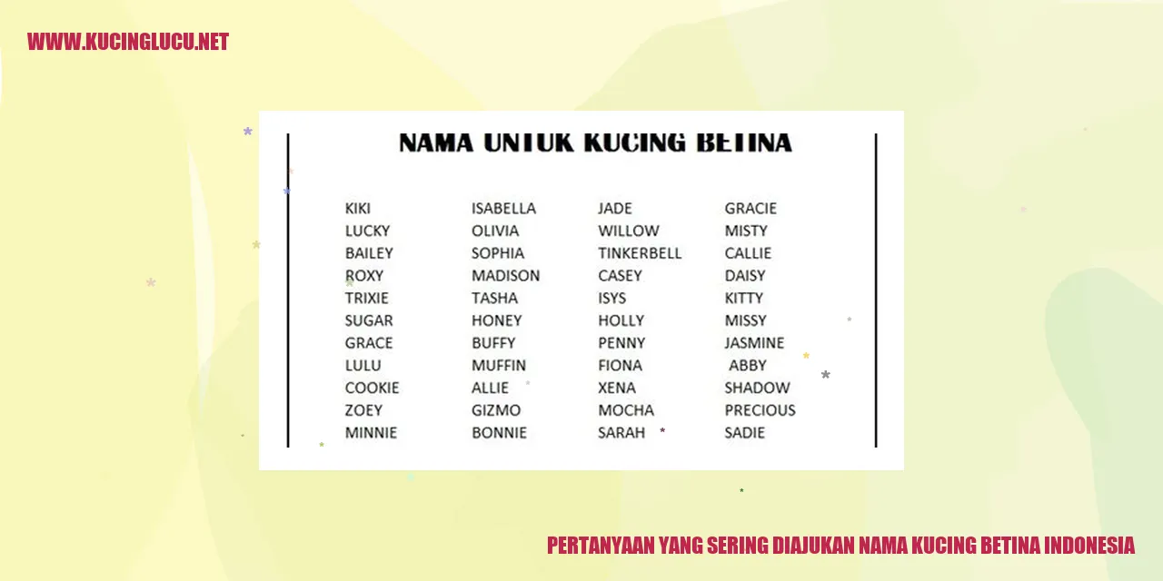 Ilustrasi kucing betina Indonesia