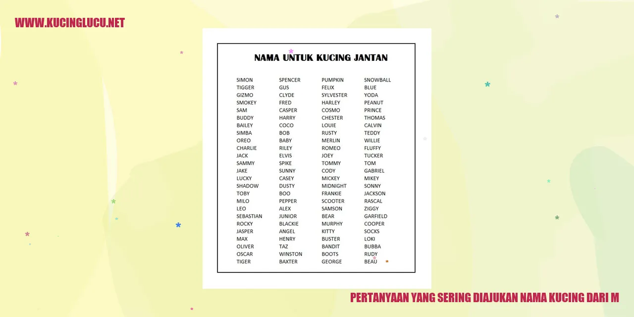 Pertanyaan yang Sering Ditanyakan Mengenai Nama Kucing