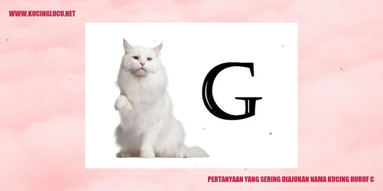 Gambar seekor kucing lucu
