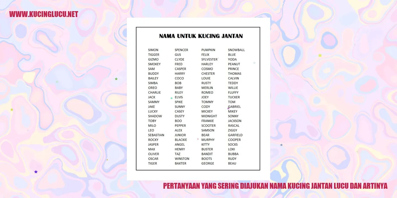 Gambar kucing jantan lucu