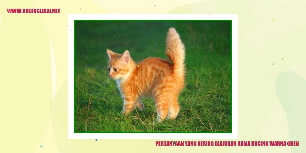 Kucing berwarna oranye