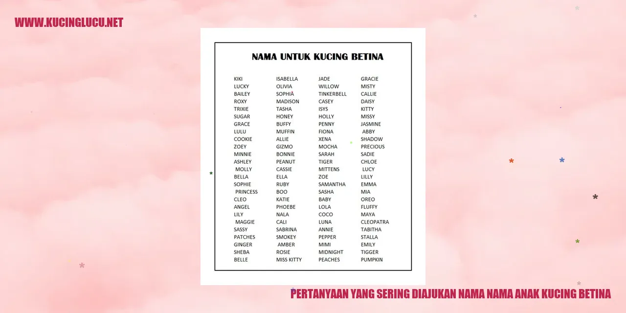 Gambar anak kucing betina