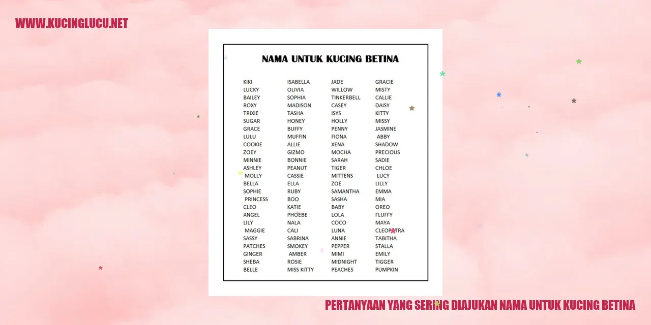 Ilustrasi kucing betina
