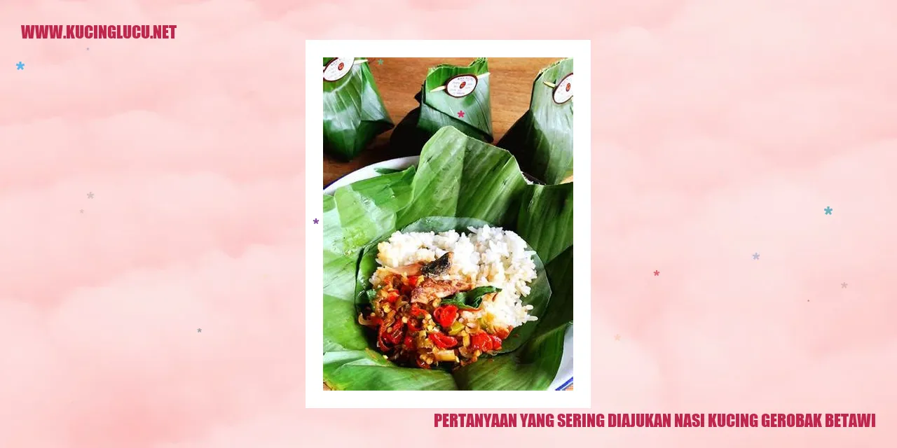 Nasi Kucing Gerobak Betawi
