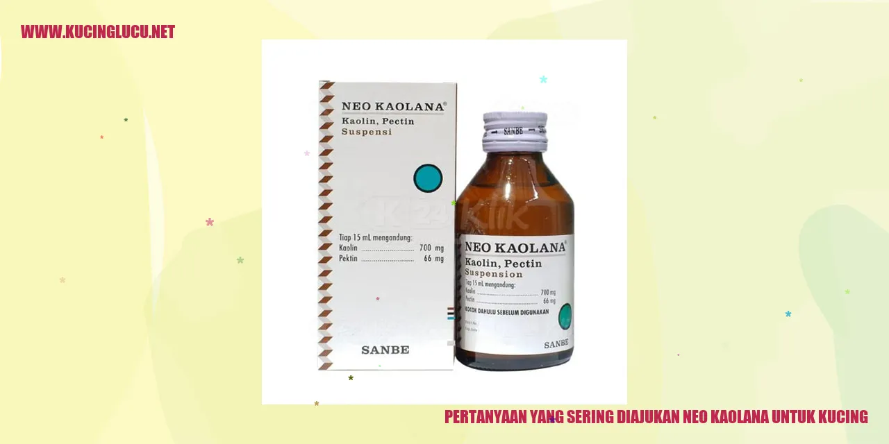 Pertanyaan yang Sering Diajukan Neo Kaolana untuk Kucing
