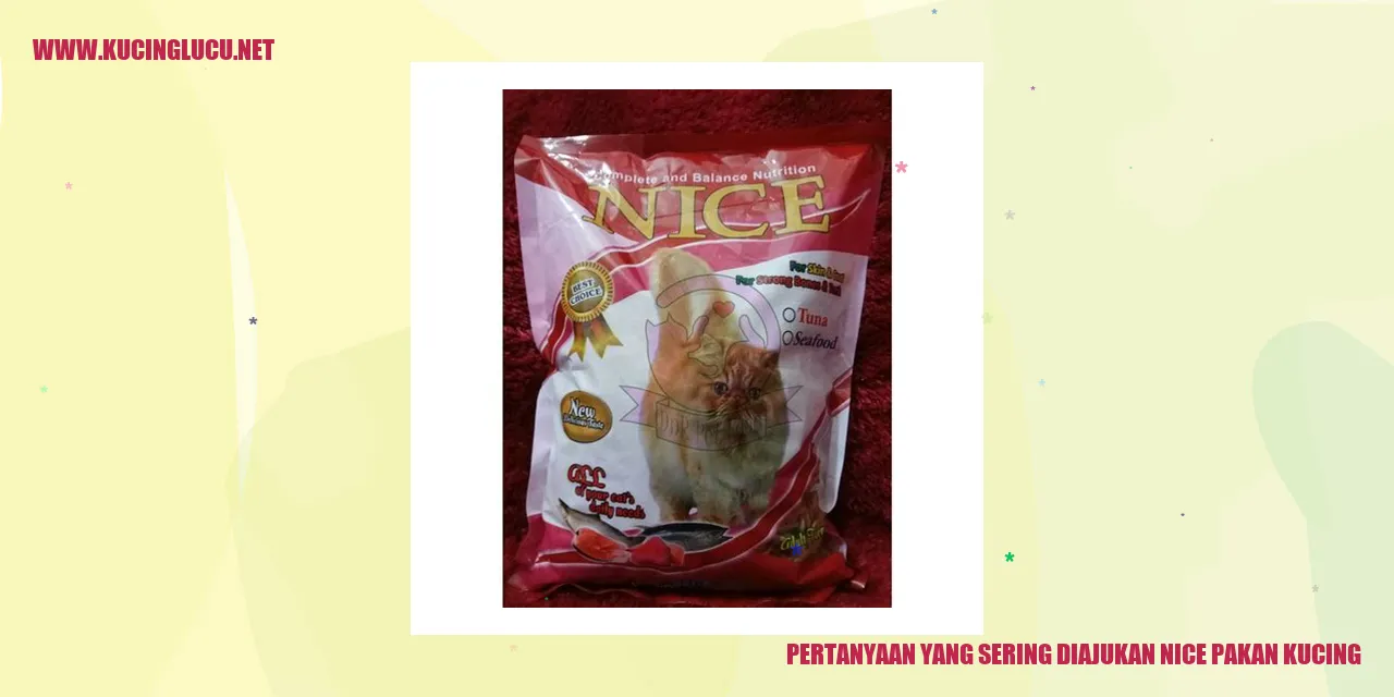 pertanyaan kucing
