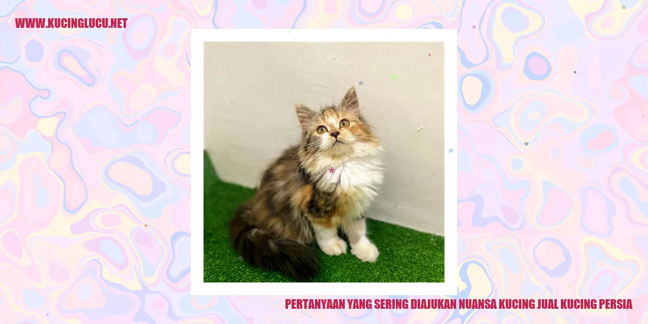 Pertanyaan yang Sering Diajukan nuansa kucing jual kucing persia
