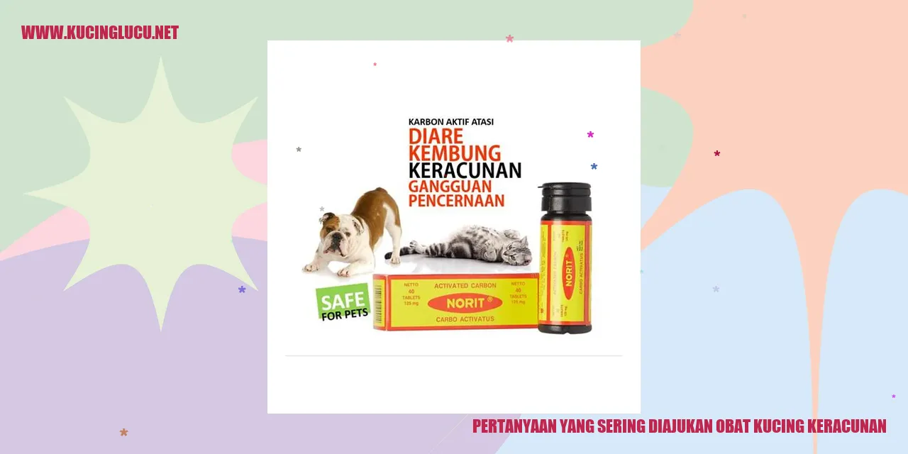 Pertanyaan yang Sering Diajukan obat kucing keracunan
