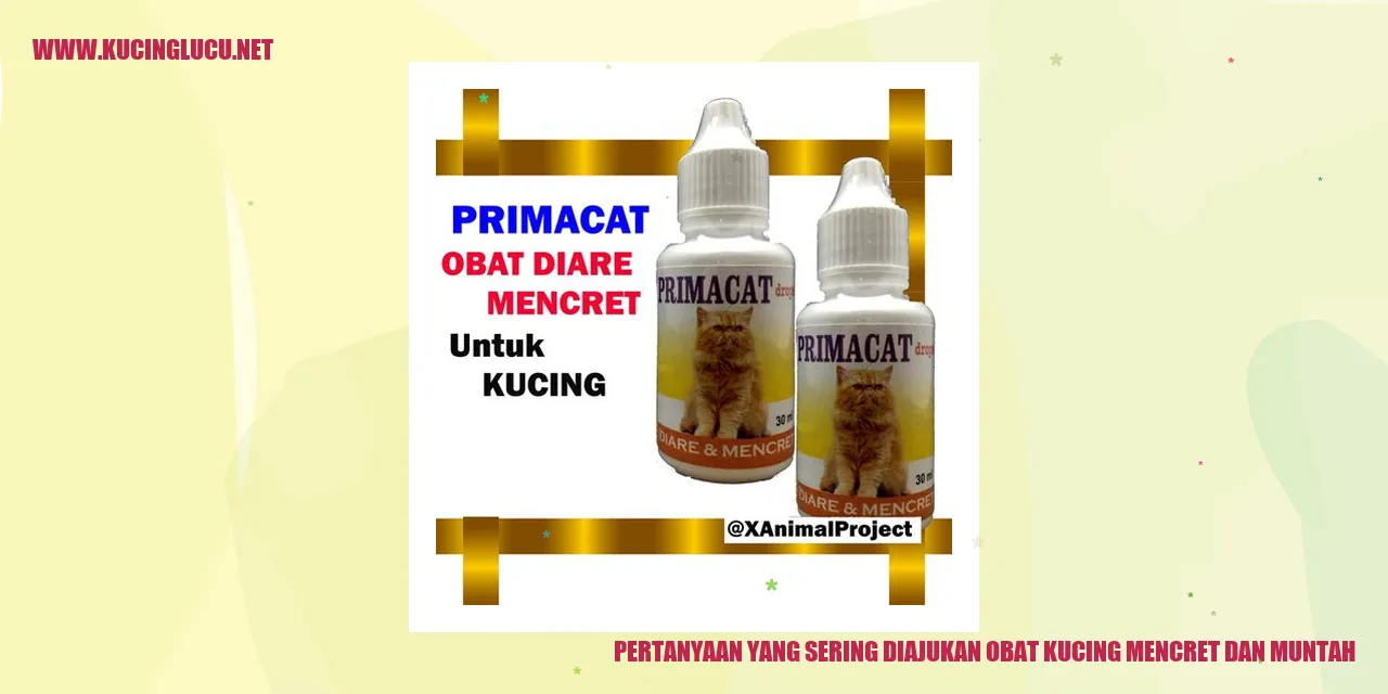 gambar obat kucing