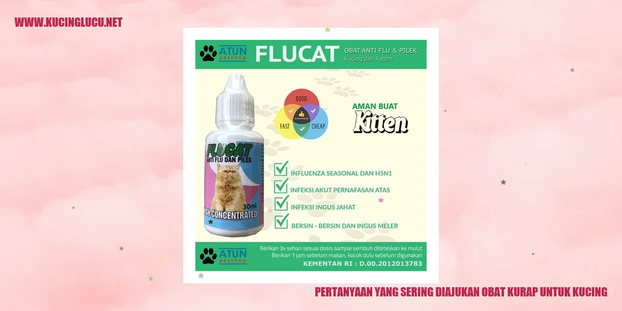 Gambar kucing terinfeksi kurap