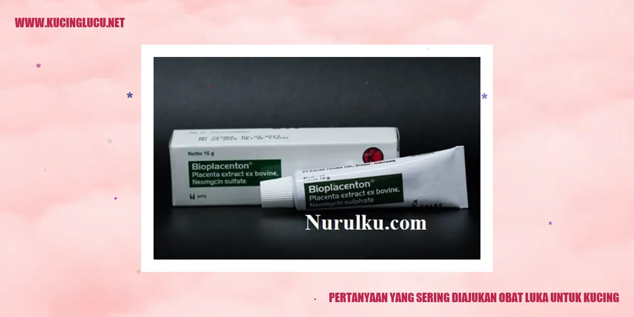 Gambar Kucing dengan Luka