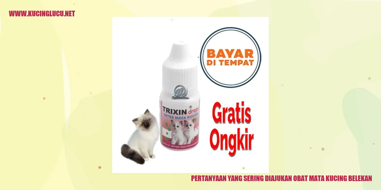 Gambar kucing belekan