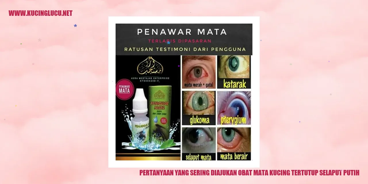 Panduan untuk Mengatasi Keluhan Mata Kucing yang Tertutup Penyakit