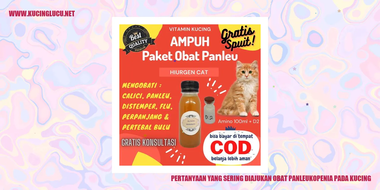 Obat Panleukopenia pada Kucing