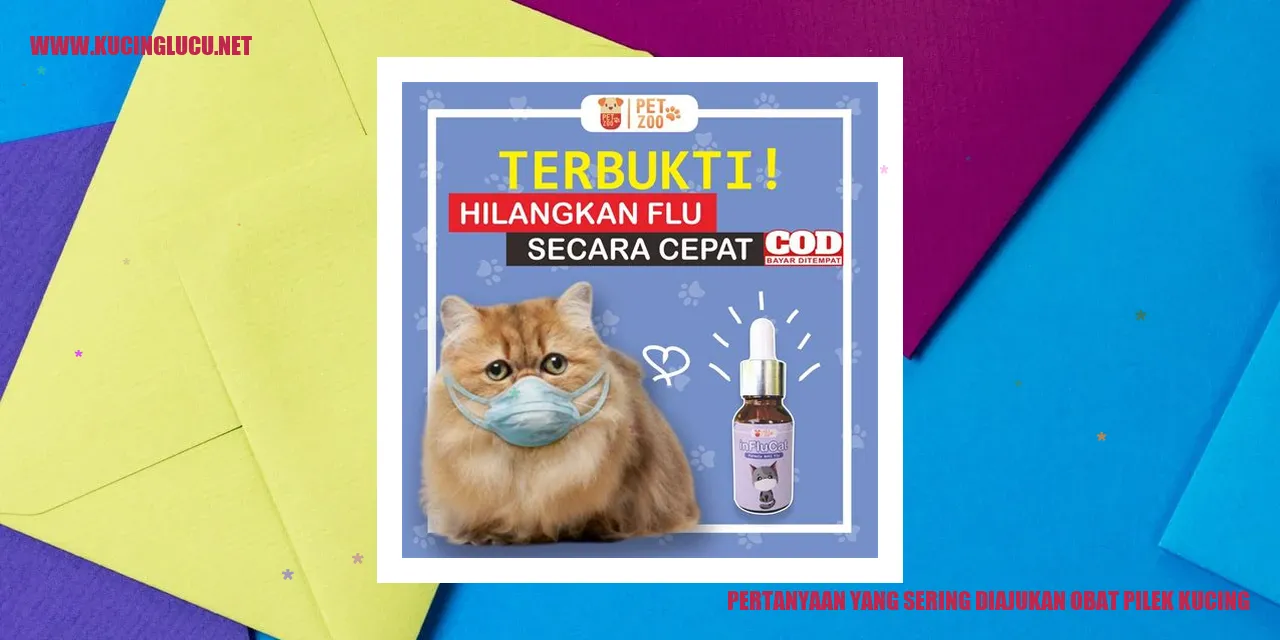 Obat Pilek pada Kucing