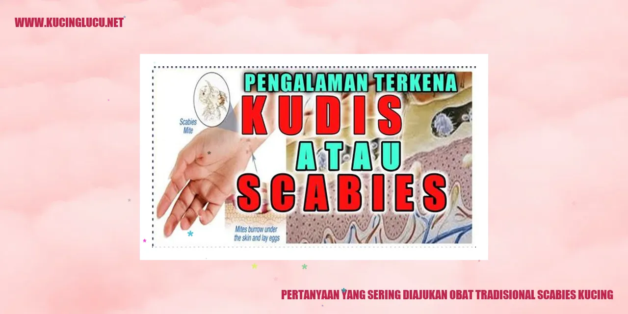 Pertanyaan yang Sering Diajukan obat tradisional scabies kucing