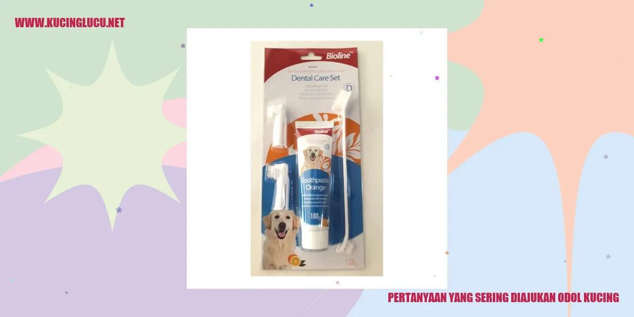 Gambar Kucing